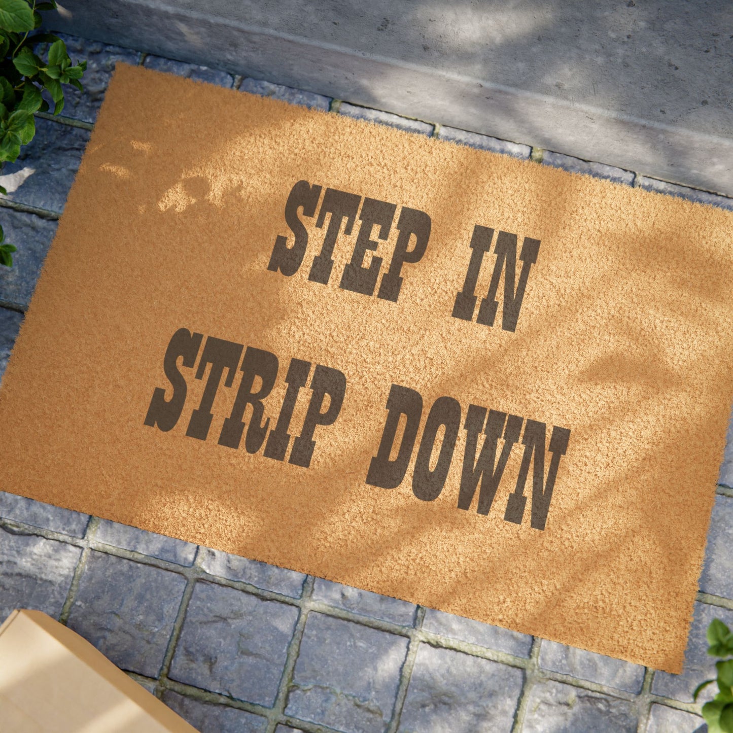 Step In Strip Down - Welcome Doormat
